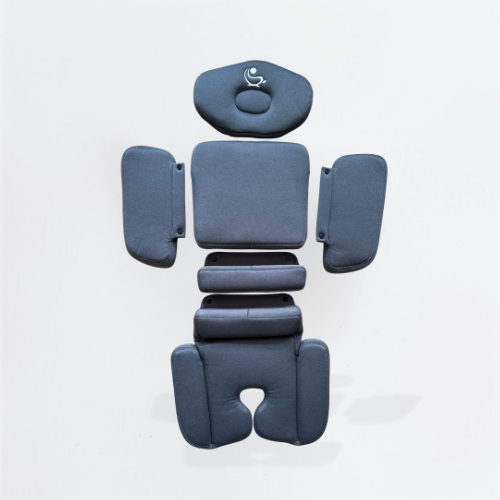 ModuleFit