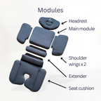 ModuleFit