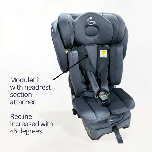 ModuleFit